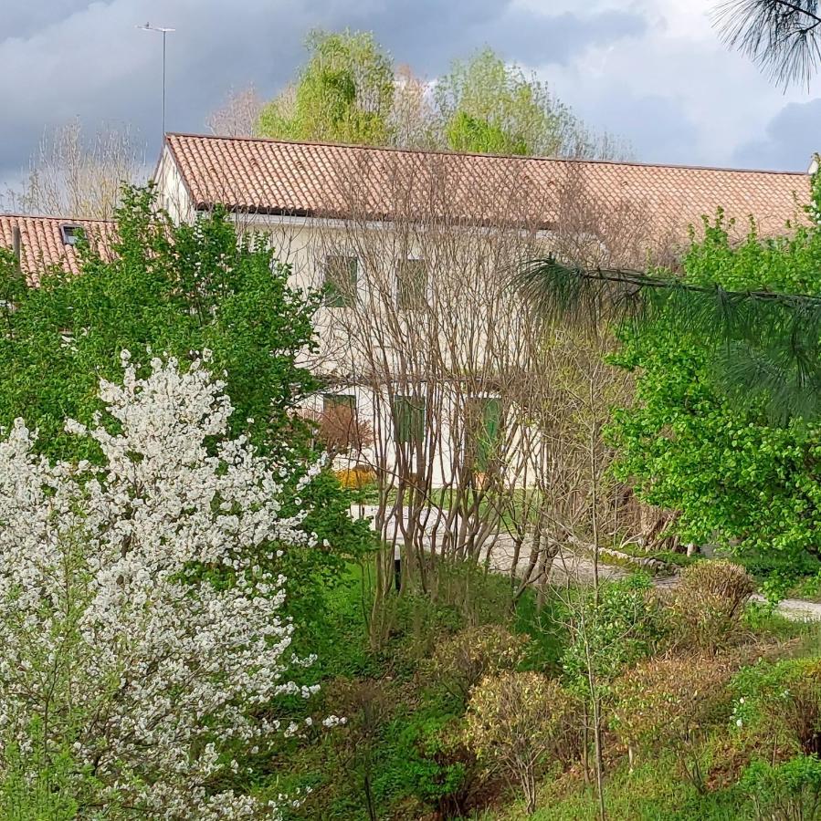 Agriturismo L'Eremo Volpago del Montello Ngoại thất bức ảnh