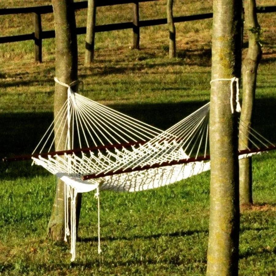 Agriturismo L'Eremo Volpago del Montello Ngoại thất bức ảnh
