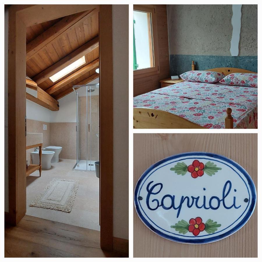 Agriturismo L'Eremo Volpago del Montello Ngoại thất bức ảnh